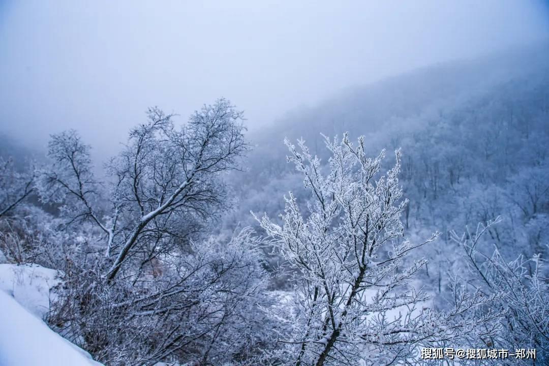 第七届东北亚冰雪汽车拉力赛延吉开幕