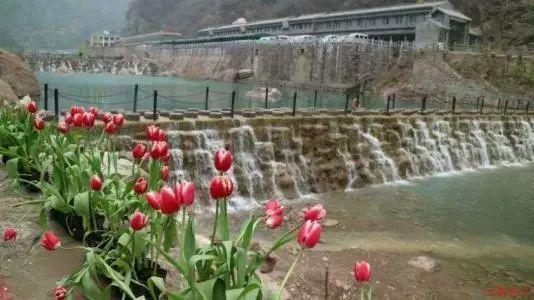 节前大走访 促稳保平安